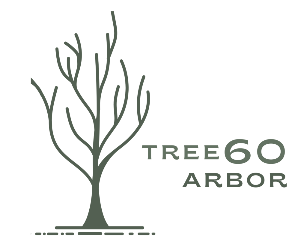 Tree60Arbor